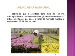 Estima-se que a atividade gere mais de 120 mil
empregos diretos. Ao mercado anual gira entorno de renda 2
bilhões de Dólares por ano . O valor do mercado mundial é
avaliado em 75 Bilhões de reais.
6
 