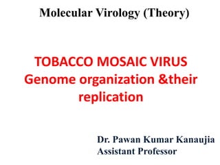 Dr. Pawan Kumar Kanaujia
Assistant Professor
Molecular Virology (Theory)
TOBACCO MOSAIC VIRUS
Genome organization &their
replication
 