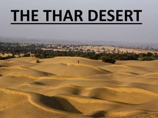 THE THAR DESERT
 