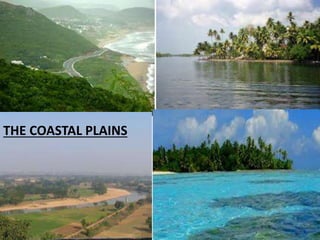 THE COASTAL PLAINS
 