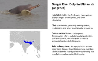 SST PROJECT on some exotics and indigenous species of flora and ...