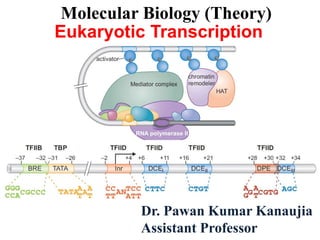 Dr. Pawan Kumar Kanaujia
Assistant Professor
Molecular Biology (Theory)
Eukaryotic Transcription
 