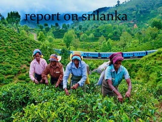 report on srilanka
 