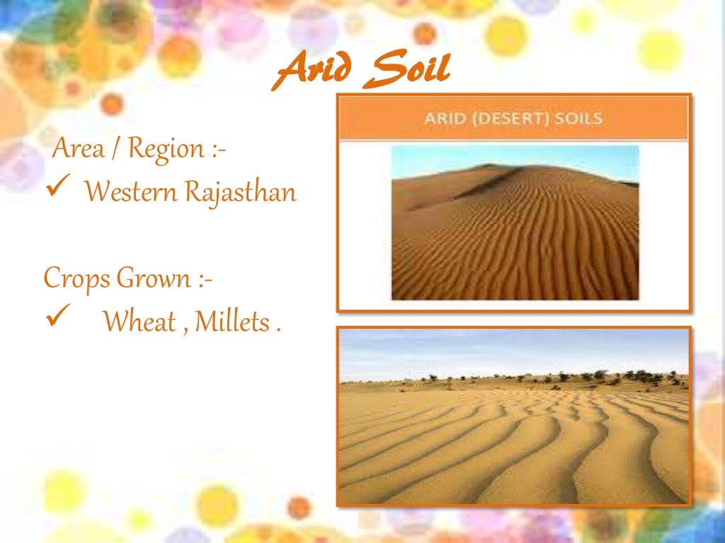 Soil and its brief class 10 geography