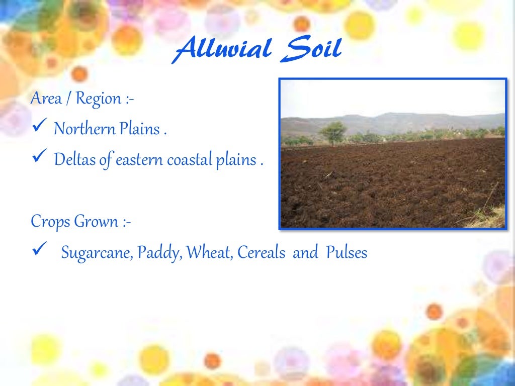 Soil and its brief class 10 geography