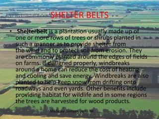 SHELTER BELTS
• Shelterbelt is a plantation usually made up of
  one or more rows of trees or shrubs planted in
  such a manner as to provide shelter from
  the wind and to protect soil from erosion. They
  are commonly planted around the edges of fields
  on farms. If designed properly, windbreaks
  around a home can reduce the cost of heating
  and cooling and save energy. Windbreaks are also
  planted to help keep snow from drifting onto
  roadways and even yards. Other benefits include
  providing habitat for wildlife and in some regions
  the trees are harvested for wood products.
               Made By: Samyak Jain - 04
 