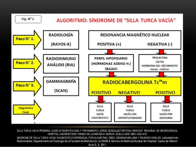 silla turca vacia sindrome de la silla turca vacia empty sella syndrome silla turca vacia sindrome de la silla turca vacia empty sella syndrome