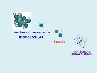 ORGÁNICAS   INORGÁNICAS

  BIOMOLÉCULAS
                          ÁTOMOS



                                    PARTÍCULAS
                                   SUBATÓMICAS
 