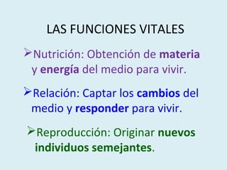 LAS FUNCIONES VITALES
Nutrición: Obtención de materia
 y energía del medio para vivir.
Relación: Captar los cambios del
 medio y responder para vivir.
Reproducción: Originar nuevos
 individuos semejantes.
 