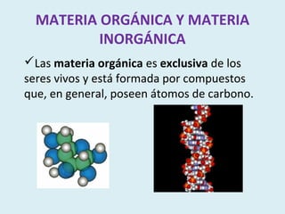 MATERIA ORGÁNICA Y MATERIA
          INORGÁNICA
Las materia orgánica es exclusiva de los
seres vivos y está formada por compuestos
que, en general, poseen átomos de carbono.
 