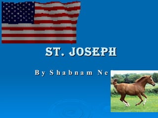 ST. joseph By Shabnam Nejat 