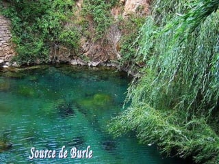 Source de Burle 