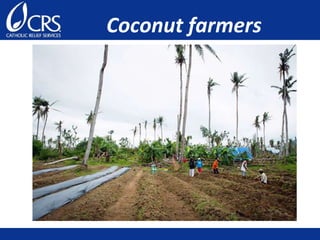 Coconut farmers
 