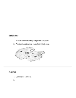 Questions 
1. Which is the excretory organ in Amoeba? 
2. Point out contractive vacuole in the figure. 
Answer 
1. Contractile vacuole 
2. 
 