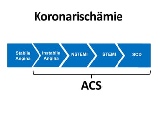 SCDSTEMINSTEMIStabile
Angina
Instabile
Angina
Koronarischämie
ACS
 