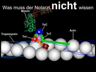 Was muss der Notarzt nicht wissen
 