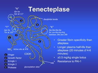 Tenecteplase
1
2
3
4
5
1 Finger
2 Growth Factor
3 Kringle 1
4 Kringle 2
5 Protease
Ala-Ala-Ala-Ala
for Lys-His-Arg-Arg
between 296 and 299
448
glycosylation sites
Gln for
Asn at 117
Asn for
Thr at 103
disulphide bonds
Active site at 478
“T”
“N”
“K”
• Greater fibrin specificity than
alteplase
• Longer plasma half-life than
alteplase (20 minutes cf 4-6
minutes)
• ±0.5 mg/kg single bolus
• Resistance to PAI-1
NH2
COOH
 