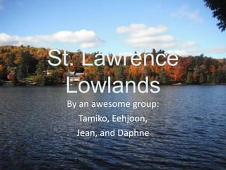St. Lawrence
 Lowlands
 By an awesome group:
    Tamiko, Eehjoon,
   Jean, and Daphne
 
