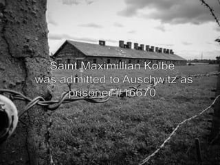 A Concentration Camp Hero
        •   St. Kolbe was prisoner 16770, and his work group
            was supervised by the m...