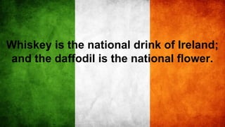Whiskey is the national drink of Ireland;
and the daffodil is the national flower.