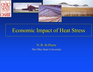 Economic Impact of Heat Stress
N. R. St-Pierre
The Ohio State University
 