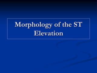 Morphology of the ST
Elevation
 