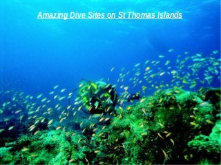 Amazing Dive Sites on St Thomas Islands
 