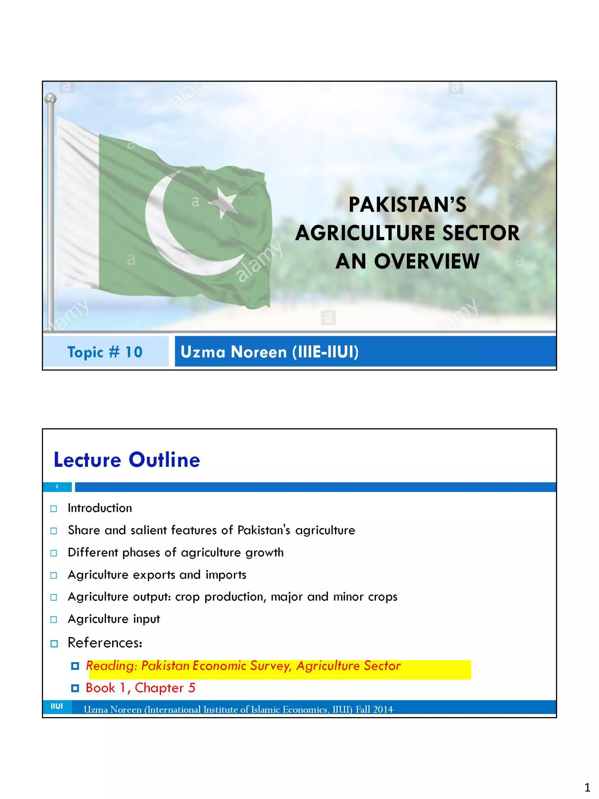 St 10 agriculture sector pakistan economy | PDF