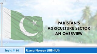 economy of pakistan agriculture sector h