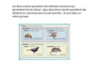 Les	
  êtres	
  vivants	
  possèdent	
  des	
  aJributs	
  communs	
  qui	
  
permeJent	
  de	
  les	
  classer	
  :	
  plus	
  deux	
  êtres	
  vivants	
  possèdent	
  des	
  
aJributs	
  en	
  communs	
  plus	
  ils	
  sont	
  proches	
  :	
  ils	
  sont	
  dans	
  un	
  
même	
  groupe	
  
 