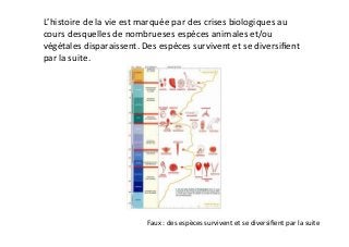 L’histoire	
  de	
  la	
  vie	
  est	
  marquée	
  par	
  des	
  crises	
  biologiques	
  au	
  
cours	
  desquelles	
  de	
  nombrueses	
  espèces	
  animales	
  et/ou	
  
végétales	
  disparaissent.	
  Des	
  espèces	
  survivent	
  et	
  se	
  diversiﬁent	
  
par	
  la	
  suite.	
  	
  	
  
Faux	
  :	
  des	
  espèces	
  survivent	
  et	
  se	
  diversiﬁent	
  par	
  la	
  suite	
  
 