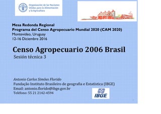 Brasil- Consideraciones Metodológicas: Censo Agropecuario 2006 