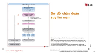 Comprehensive Treatment and Management of Heart Failure: Guidelines and ...