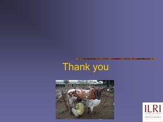 A comparison of dairy policy and development in South Asia and East Africa: lessons for a pro-poor dairy policy agenda