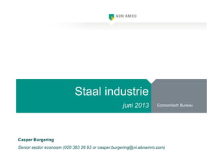 Casper Burgering
Senior sector econoom (020 383 26 93 or casper.burgering@nl.abnamro.com)
juni 2013
Staal industrie
Economisch Bureau
 