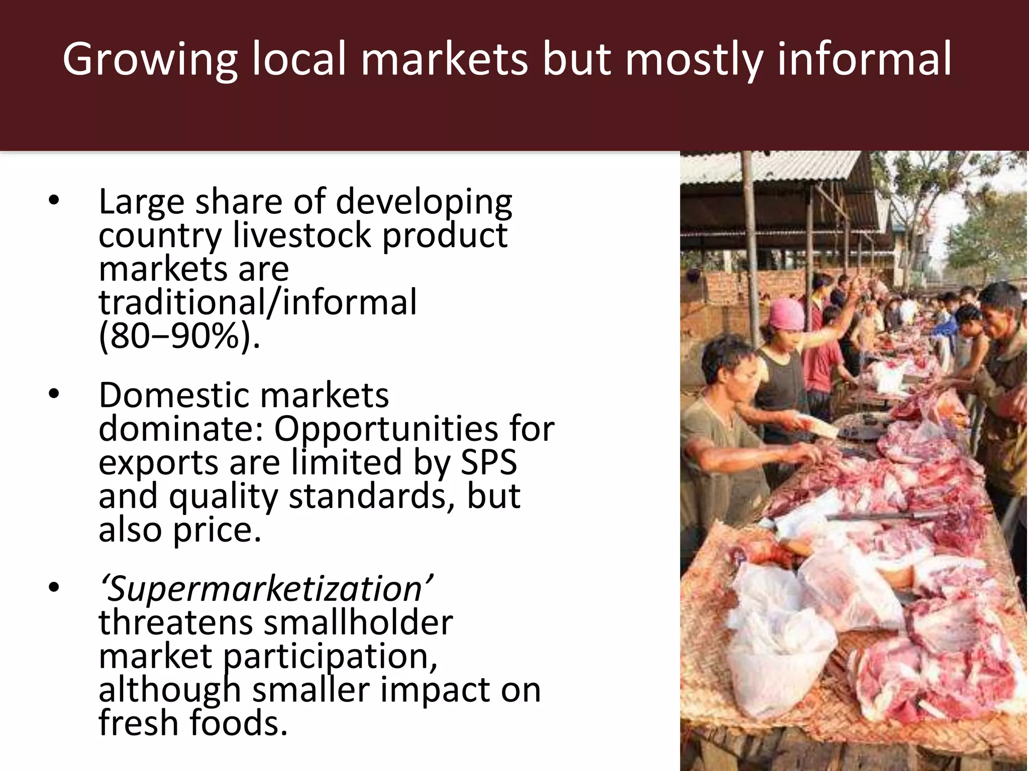 Growing local markets but mostly informal
• Large share of developing
country livestock product
markets are
traditional/informal
(80−90%).
• Domestic markets
dominate: Opportunities for
exports are limited by SPS
and quality standards, but
also price.
• ‘Supermarketization’
threatens smallholder
market participation,
although smaller impact on
fresh foods.
 