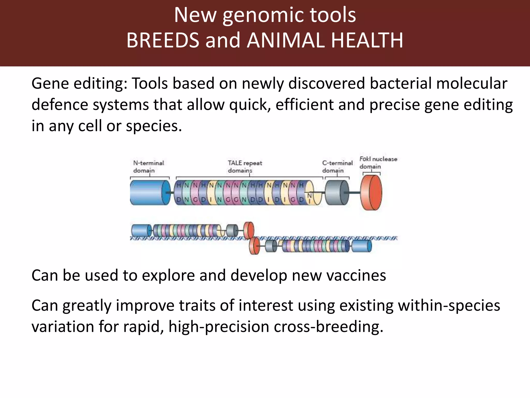 New genomic tools
BREEDS and ANIMAL HEALTH
Gene editing: Tools based on newly discovered bacterial molecular
defence systems that allow quick, efficient and precise gene editing
in any cell or species.
Can be used to explore and develop new vaccines
Can greatly improve traits of interest using existing within-species
variation for rapid, high-precision cross-breeding.
 