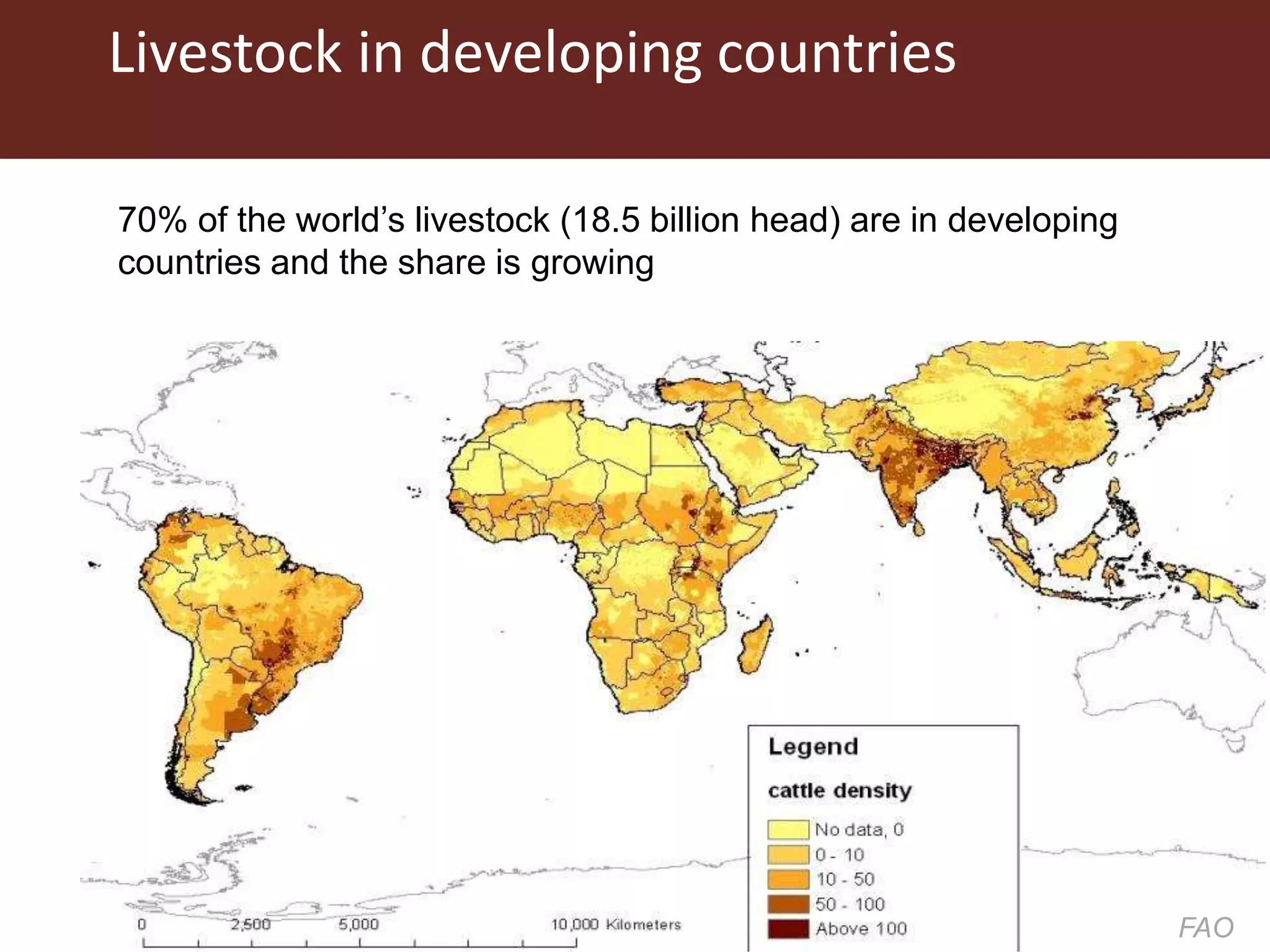 Livestock in developing countries
70% of the world’s livestock (18.5 billion head) are in developing
countries and the share is growing
FAO
 