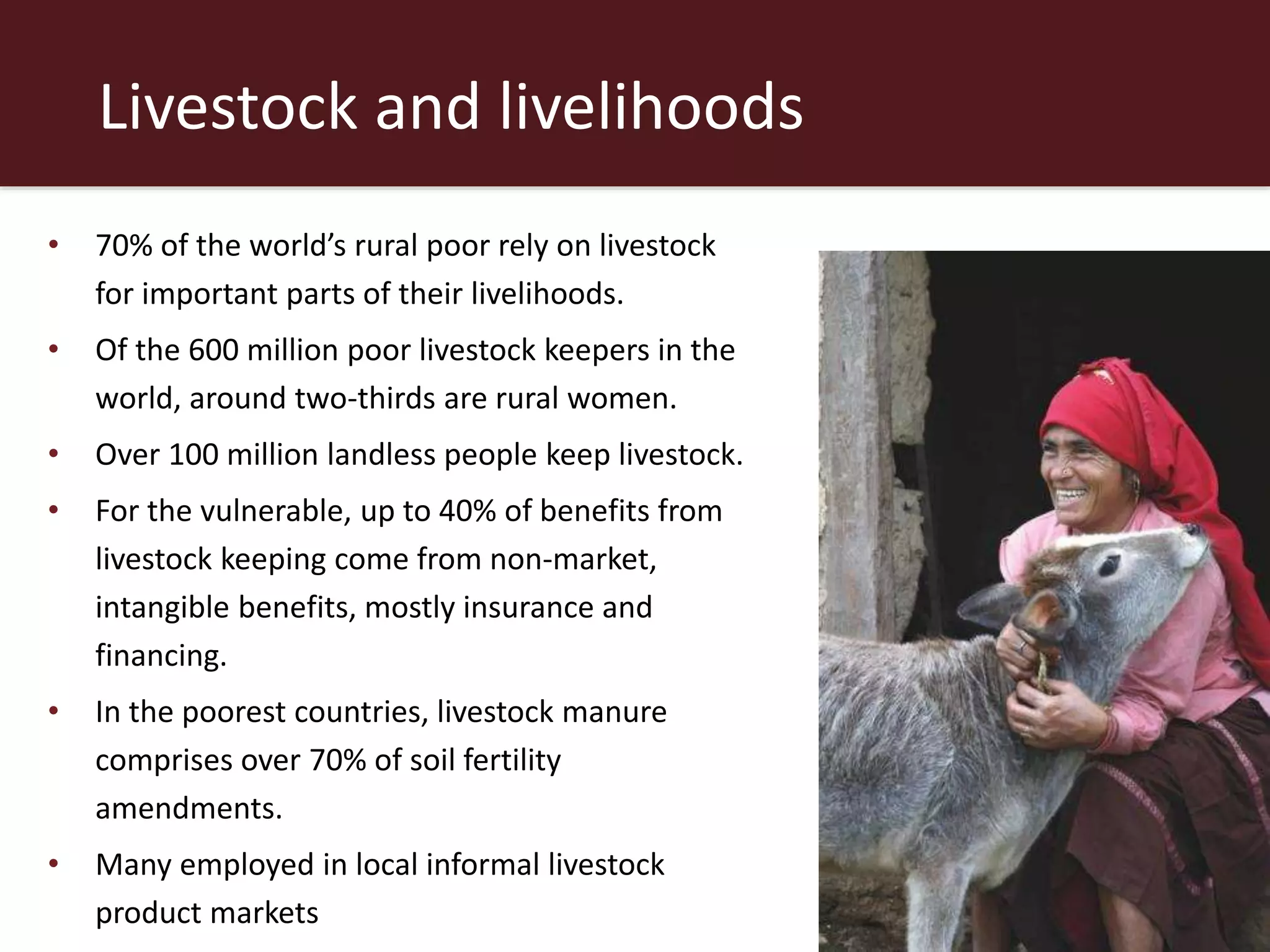 Livestock and livelihoods
• 70% of the world’s rural poor rely on livestock
for important parts of their livelihoods.
• Of the 600 million poor livestock keepers in the
world, around two-thirds are rural women.
• Over 100 million landless people keep livestock.
• For the vulnerable, up to 40% of benefits from
livestock keeping come from non-market,
intangible benefits, mostly insurance and
financing.
• In the poorest countries, livestock manure
comprises over 70% of soil fertility
amendments.
• Many employed in local informal livestock
product markets
 