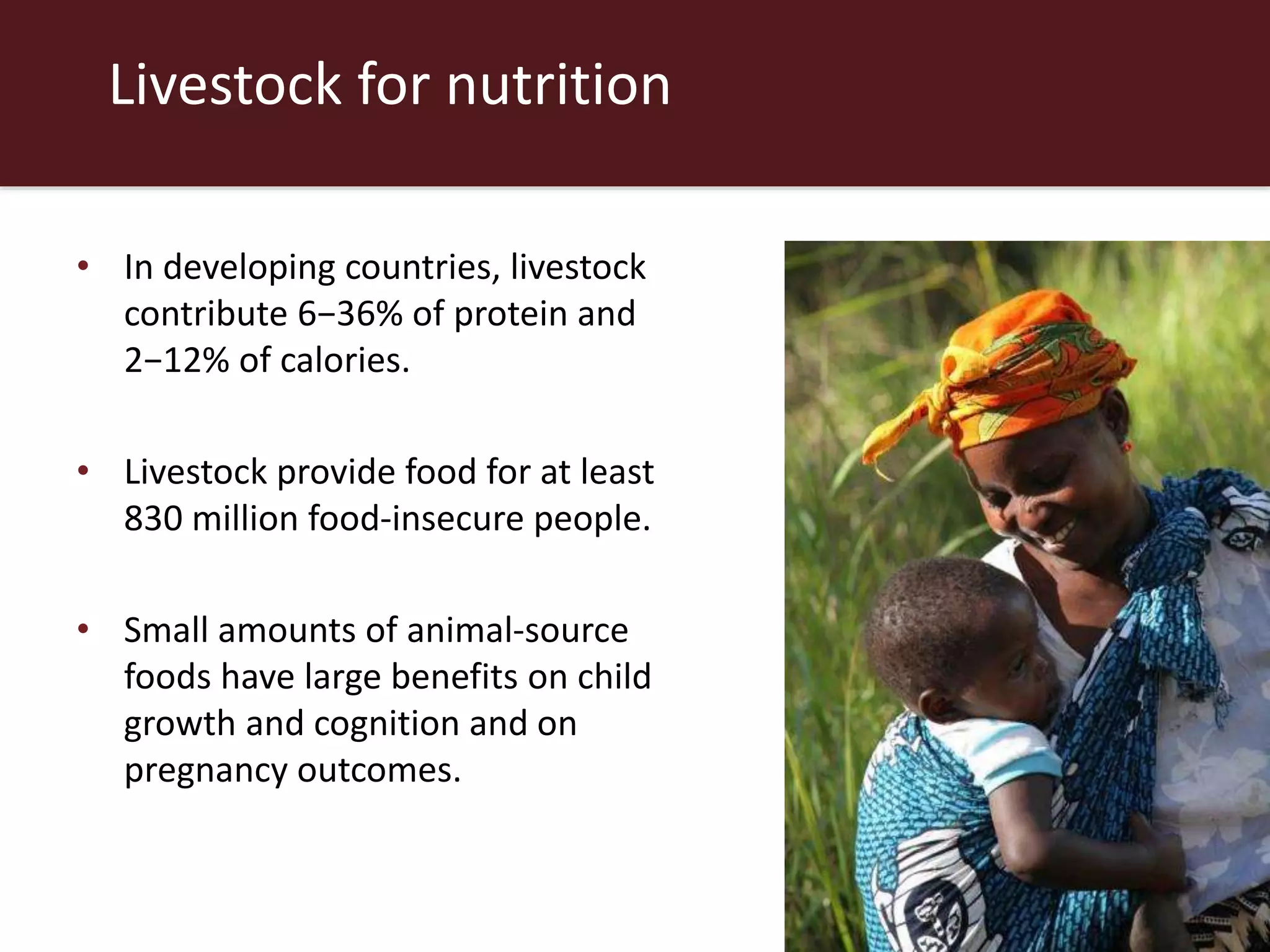 Livestock for nutrition
• In developing countries, livestock
contribute 6−36% of protein and
2−12% of calories.
• Livestock provide food for at least
830 million food-insecure people.
• Small amounts of animal-source
foods have large benefits on child
growth and cognition and on
pregnancy outcomes.
 