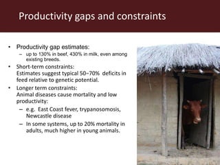 Productivity gaps and constraints
• Productivity gap estimates:
– up to 130% in beef, 430% in milk, even among
existing breeds.
• Short-term constraints:
Estimates suggest typical 50−70% deficits in
feed relative to genetic potential.
• Longer term constraints:
Animal diseases cause mortality and low
productivity:
– e.g. East Coast fever, trypanosomosis,
Newcastle disease
– In some systems, up to 20% mortality in
adults, much higher in young animals.
 