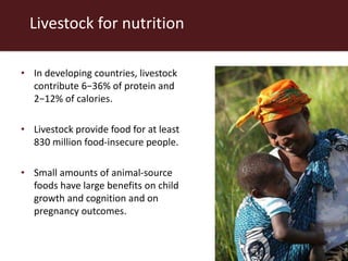 Livestock for nutrition
• In developing countries, livestock
contribute 6−36% of protein and
2−12% of calories.
• Livestock provide food for at least
830 million food-insecure people.
• Small amounts of animal-source
foods have large benefits on child
growth and cognition and on
pregnancy outcomes.
 