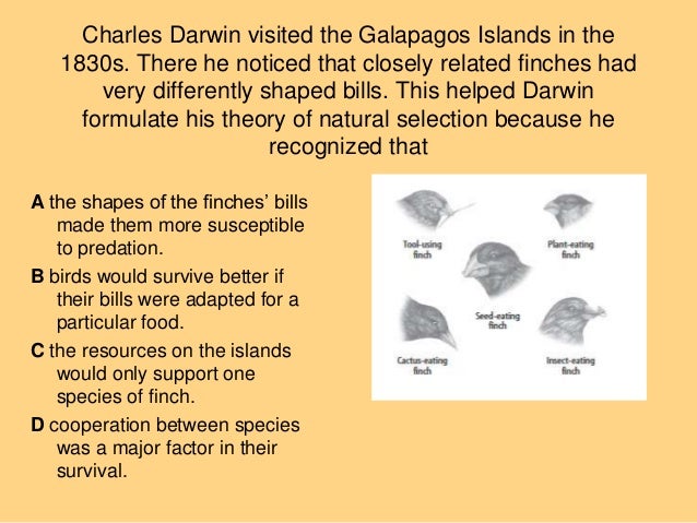 Is Natural Selection A Factor Or Theory Is Natural Selection A Factor Or Theory