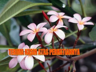 TERIMA KASIH TERIMA KASIH ATAS PERHATIANNYA 