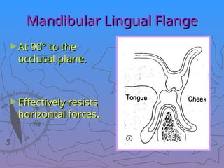 Mandibular Lingual Flange
Mandibular Lingual Flange
►At 90° to the
At 90° to the
occlusal plane.
occlusal plane.
►Effectively resists
Effectively resists
horizontal forces
horizontal forces.
.
 