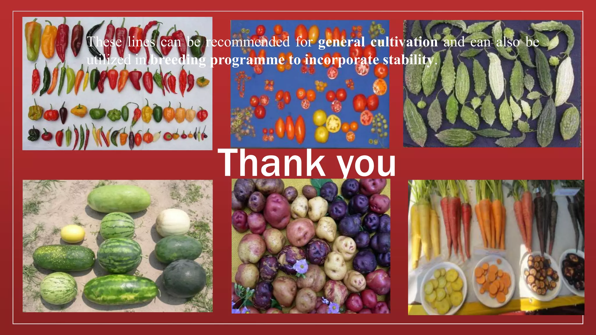 Thank you
These lines can be recommended for general cultivation and can also be
utilized in breeding programme to incorporate stability.
 