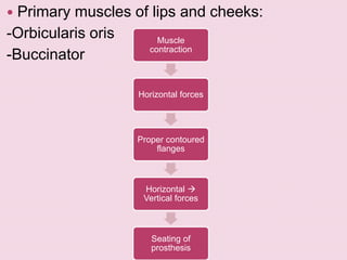  Primary muscles of lips and cheeks:
-Orbicularis oris
-Buccinator
Muscle
contraction
Horizontal forces
Proper contoured
flanges
Horizontal 
Vertical forces
Seating of
prosthesis
 