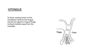 II)TONGUE
To direct seating action on the
mandibular denture the tongue
should rest against a lingual flange
inclined medially away from the
mandible
 