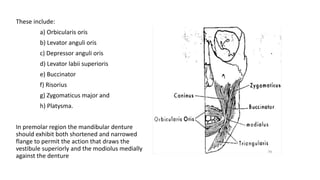 These include:
a) Orbicularis oris
b) Levator anguli oris
c) Depressor anguli oris
d) Levator labii superioris
e) Buccinator
f) Risorius
g) Zygomaticus major and
h) Platysma.
In premolar region the mandibular denture
should exhibit both shortened and narrowed
flange to permit the action that draws the
vestibule superiorly and the modiolus medially
against the denture
 