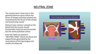 NEUTRAL ZONE
The neutral zone is that area in the
potential denture space where the
forces of tongue pressing outward are
neutralized by the forces of the cheeks
and lip pressing inward
Denture base contour is based on the
belief that the muscle should
functionally mold not only the border
but the entire polished surface
Even the teeth are placed in
“NEUTRAL ZONE” where the facial and
lingual forces generated by the
musculature of the lips,tongue and
cheeks are balanced
 